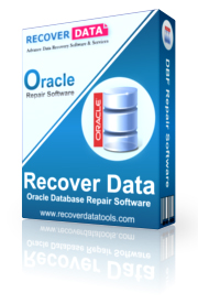 Oracle Database Repair