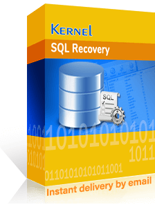 sql recovery programs